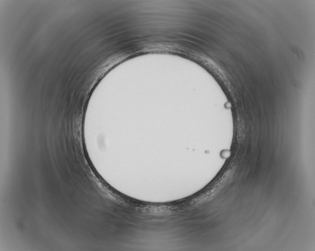 X0000112521041200909281013