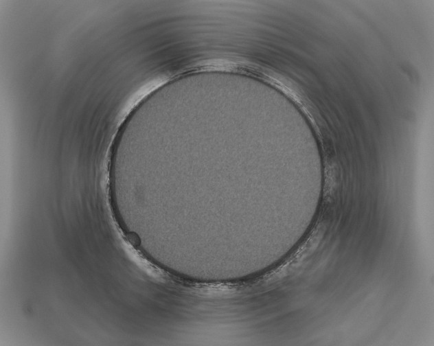 X0000112521042200909281013