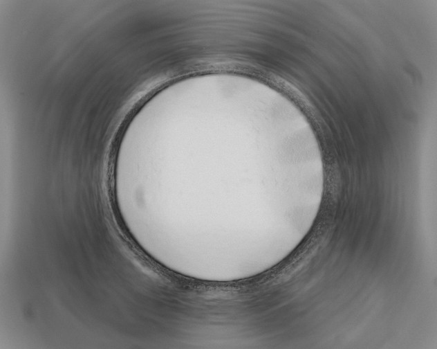 X0000112521043200909281013