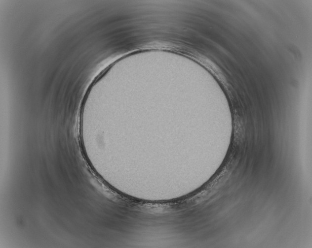 X0000112521044200909281013