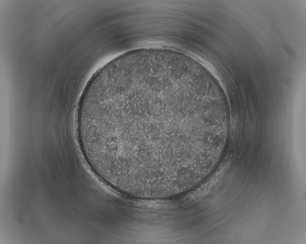 X0000112521045200909281013