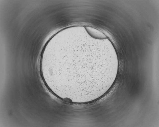 X0000112521046200909281013