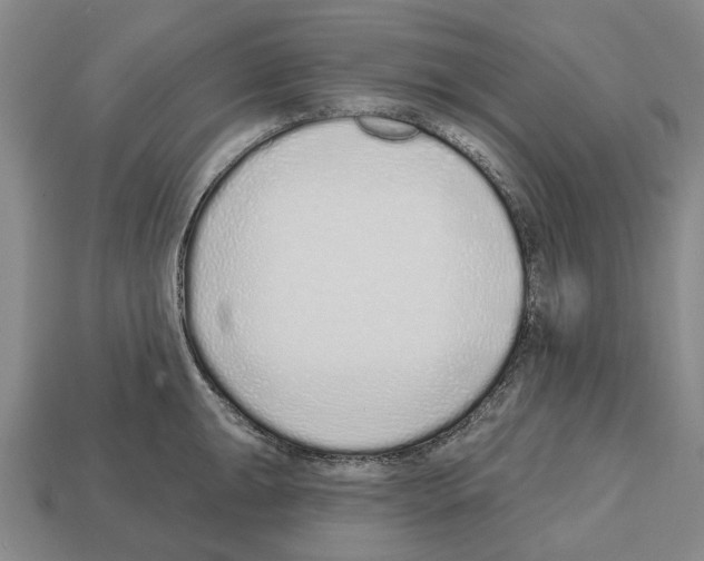 X0000112521047200909281013