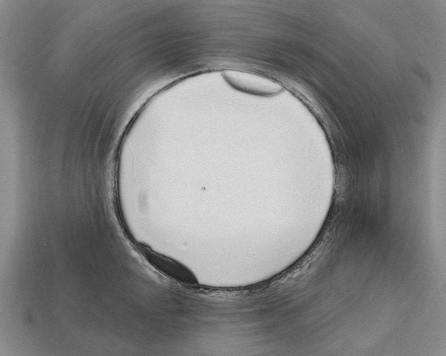 X0000112521048200909281013