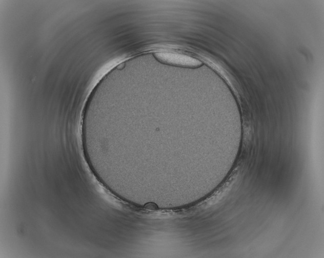 X0000112521050200909281013