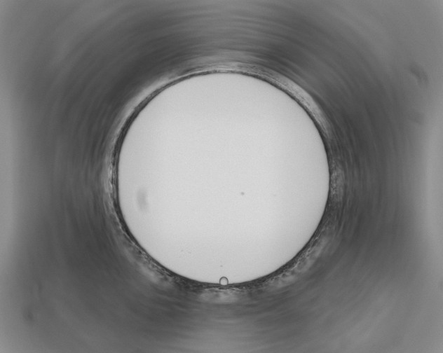X0000112521051200909281013