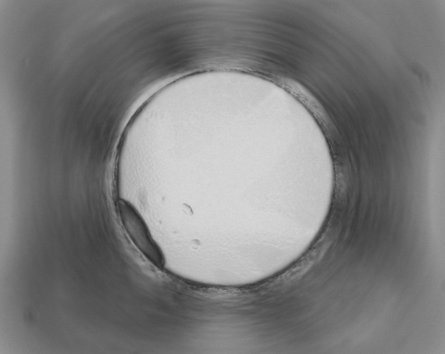 X0000112521052200909281013
