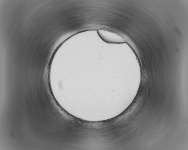 X0000112521053200909281013