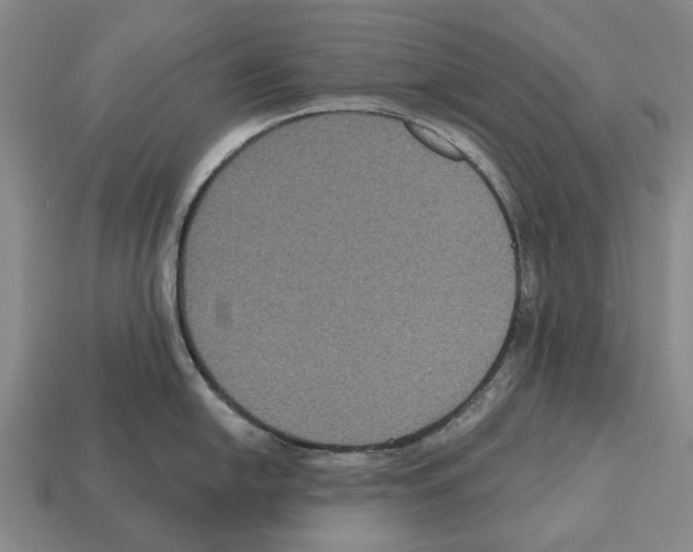 X0000112521054200909281013