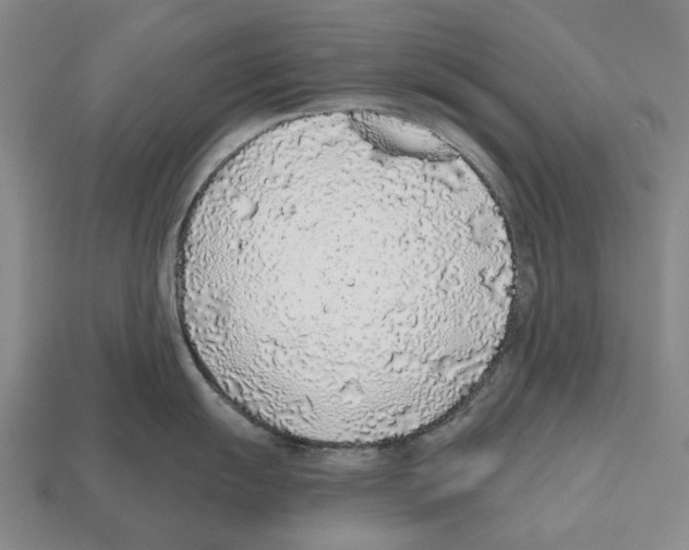 X0000112521055200909281013