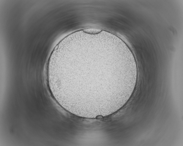 X0000112521056200909281013