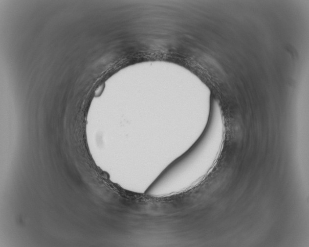 X0000112521057200909281012