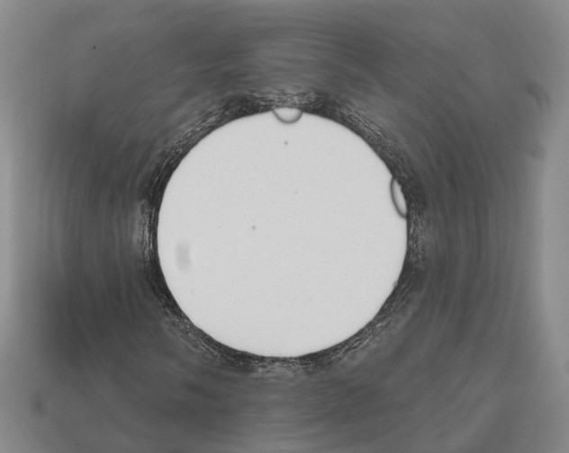 X0000112521058200909281012
