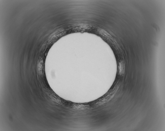 X0000112521059200909281012