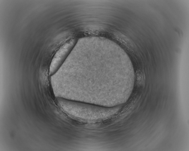 X0000112521060200909281012