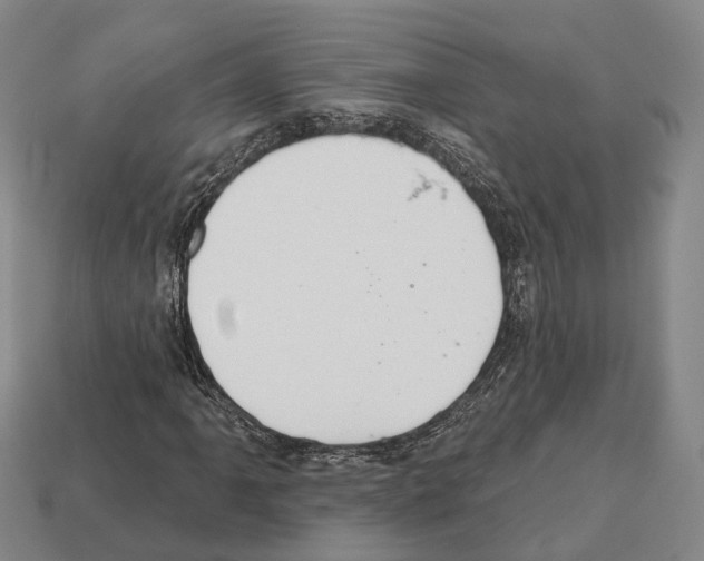 X0000112521061200909281012