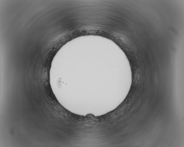 X0000112521062200909281012