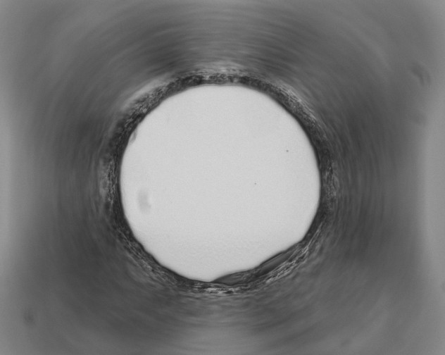 X0000112521063200909281012