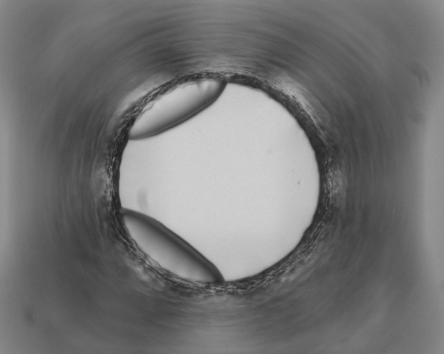 X0000112521064200909281012