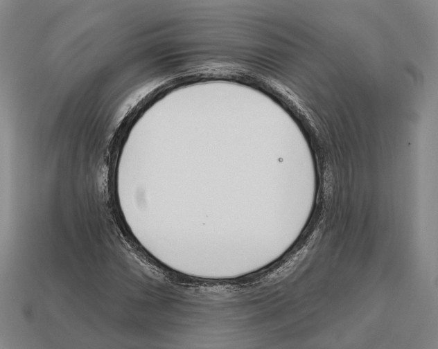 X0000112521066200909281012