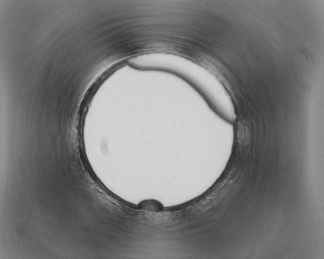 X0000112521068200909281012
