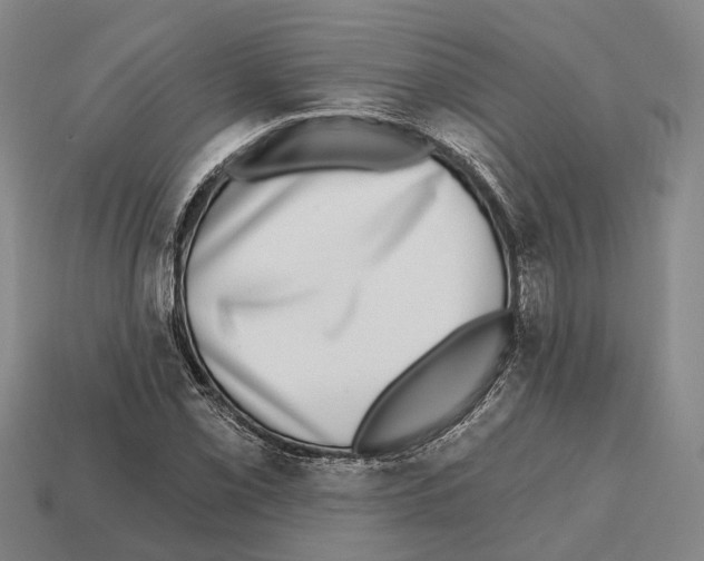 X0000112521069200909281012