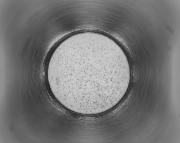 X0000112521070200909281012