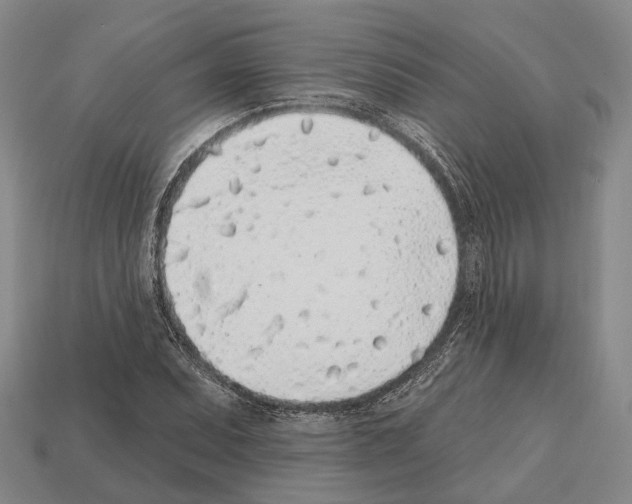 X0000112521071200909281012