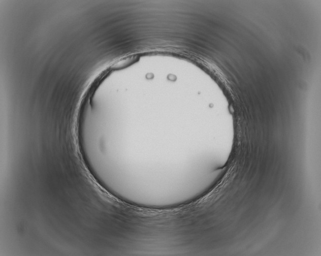 X0000112521072200909281012