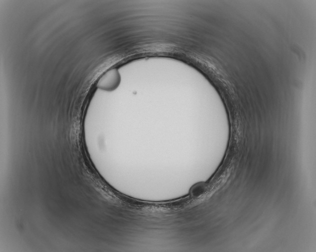 X0000112521073200909281012