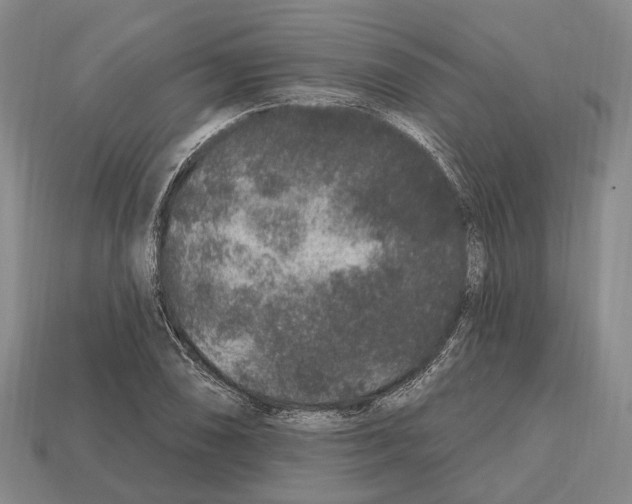 X0000112521074200909281012