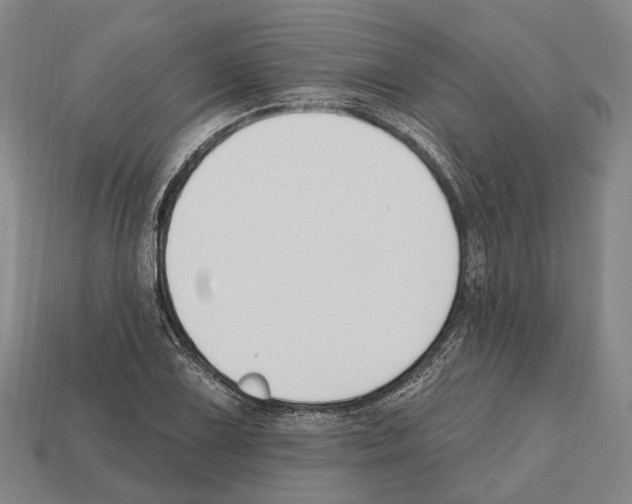 X0000112521075200909281012