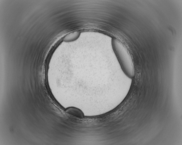 X0000112521076200909281012