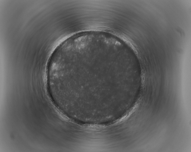 X0000112521077200909281012
