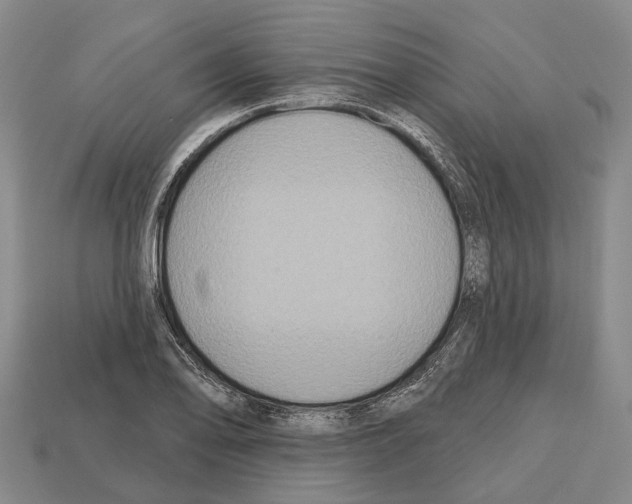 X0000112521078200909281012