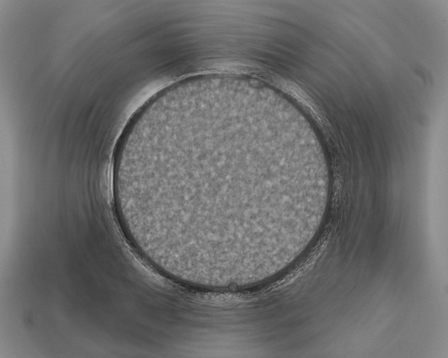 X0000112521079200909281012