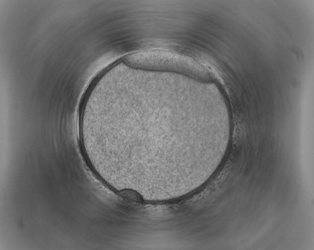 X0000112521080200909281012
