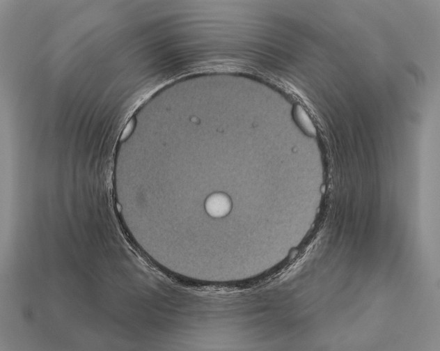 X0000112521081200909281012