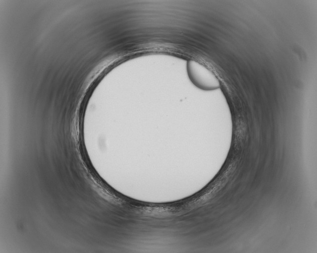 X0000112521082200909281012