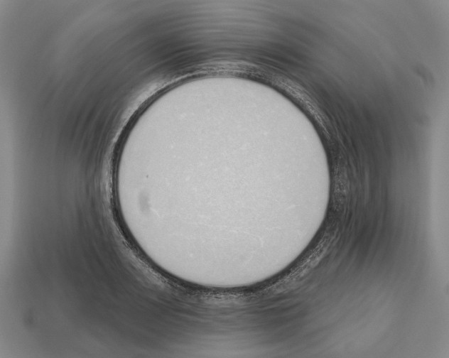 X0000112521083200909281012