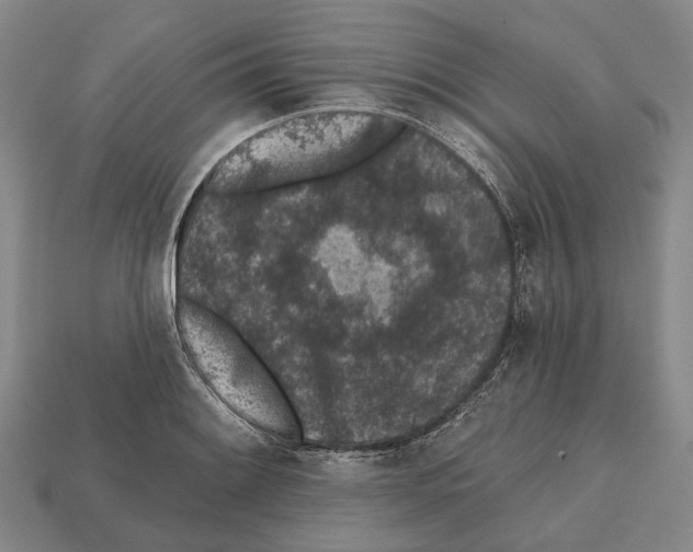 X0000112521084200909281012