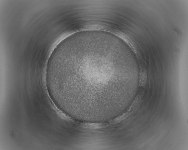 X0000112521086200909281012
