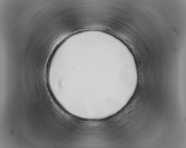 X0000112521087200909281012
