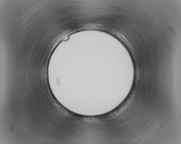 X0000112521089200909281012
