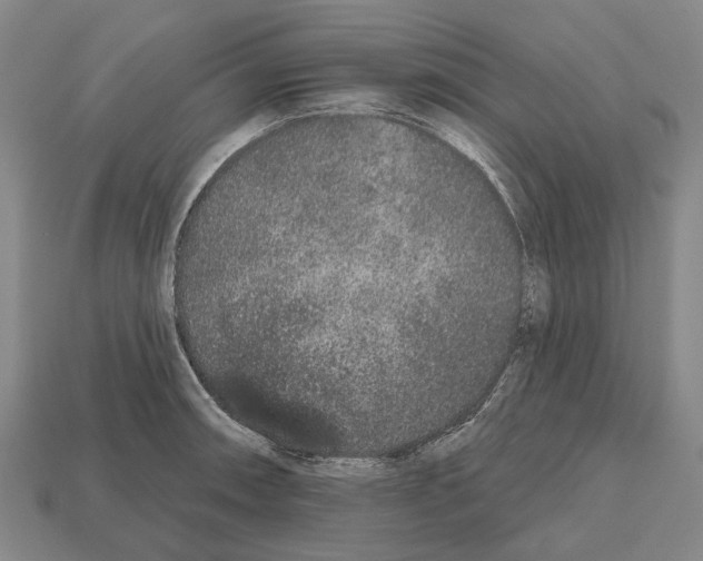 X0000112521090200909281012