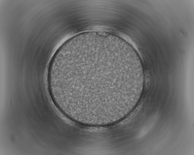 X0000112521091200909281012