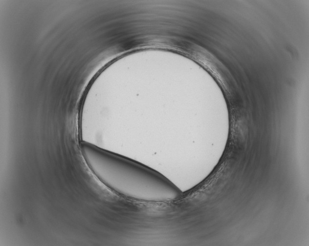 X0000112521092200909281012