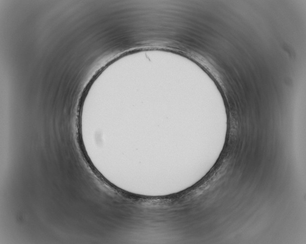 X0000112521093200909281012