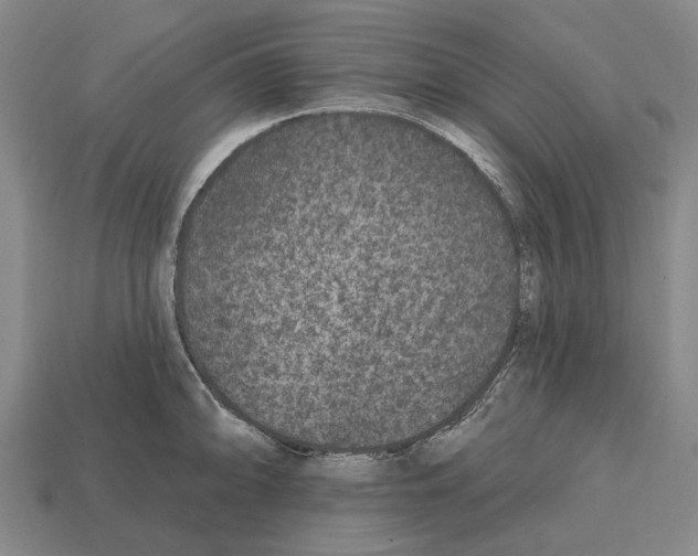 X0000112521094200909281012