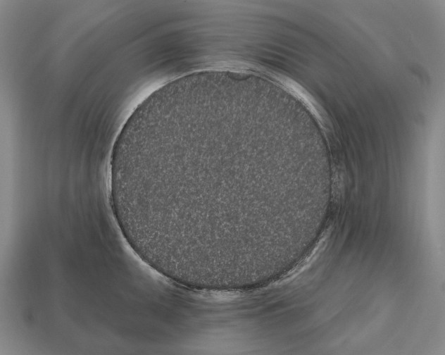 X0000112521095200909281012